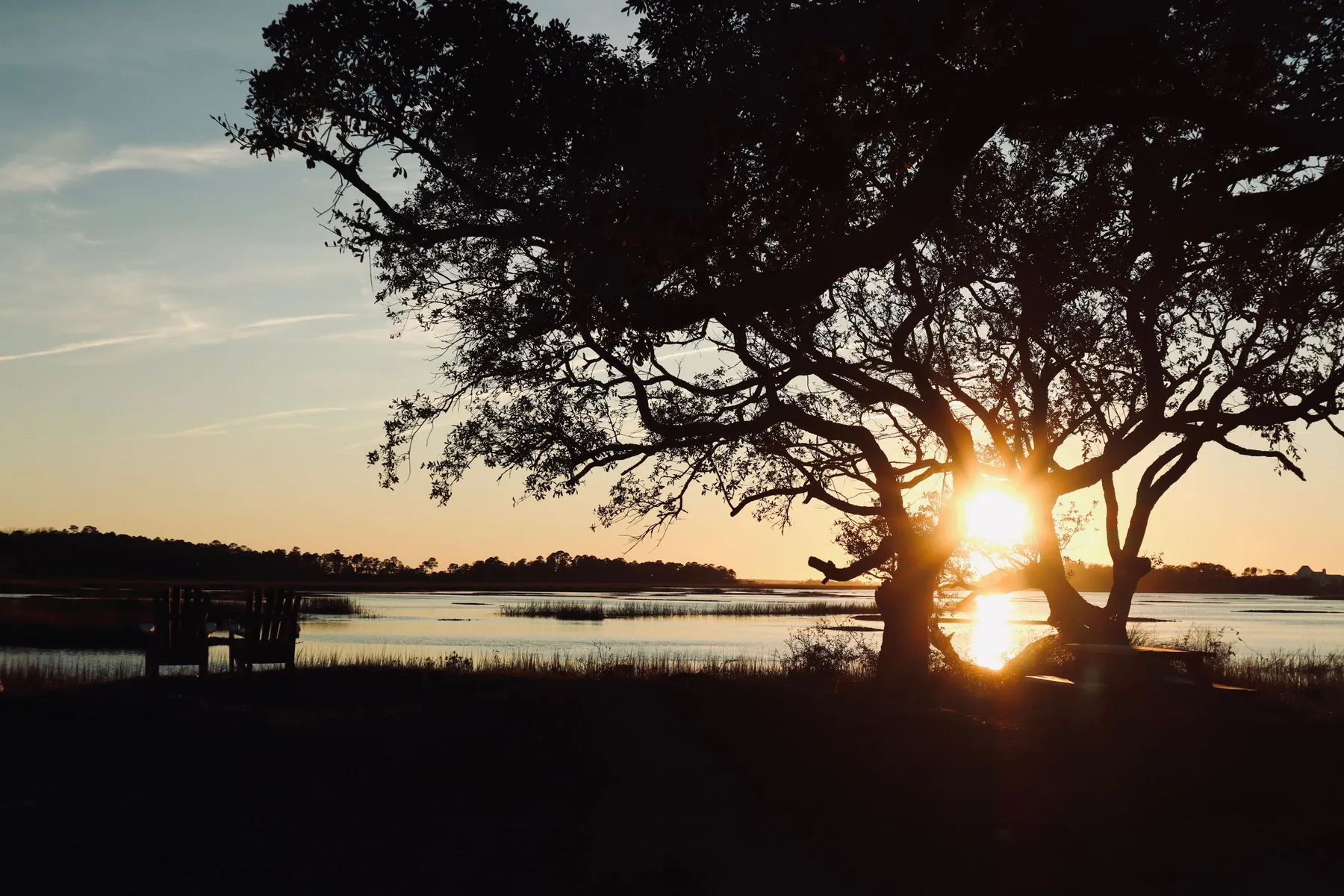 Sunset over a Lowcountry marsh with a live oak silhouetted against the water