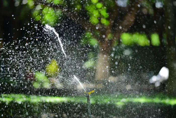 A sprinkler zone running across a healthy green lawn in late afternoon light