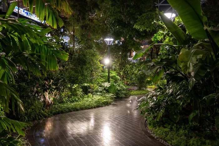 A curving garden path lit by low fixtures with dense greenery on both sides