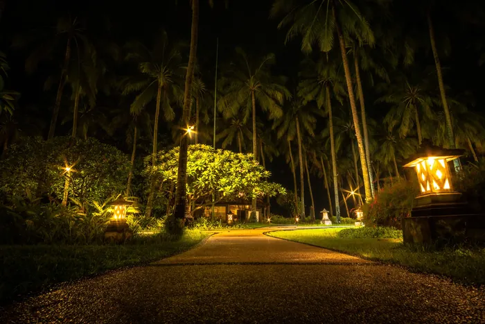 A walkway beneath palm trees lit with path lights and tree uplighting at night